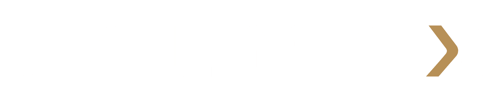 VALMAX